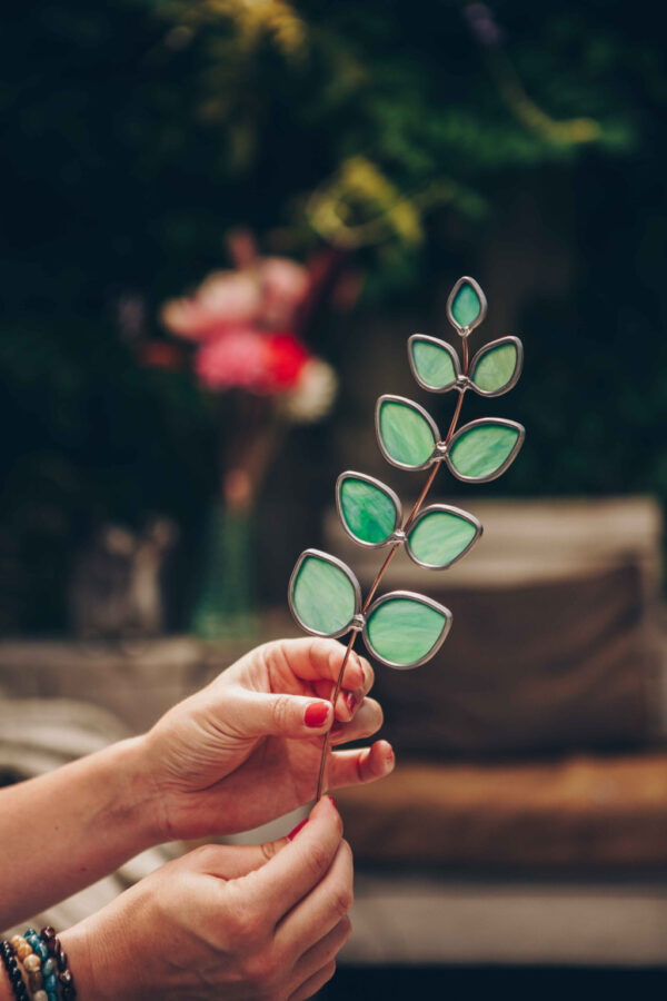 eucalyptus glas in lood