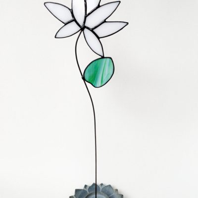 geboortebloem juli waterlelie