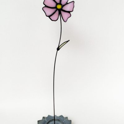 geboortebloem oktober cosmea