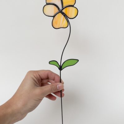 geboortebloem februari viooltje