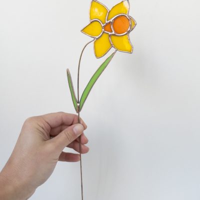 geboortebloem narcis maart