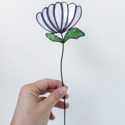 geboortebloem november chrysant