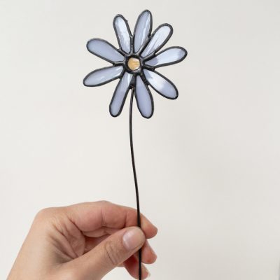 geboortebloem september aster