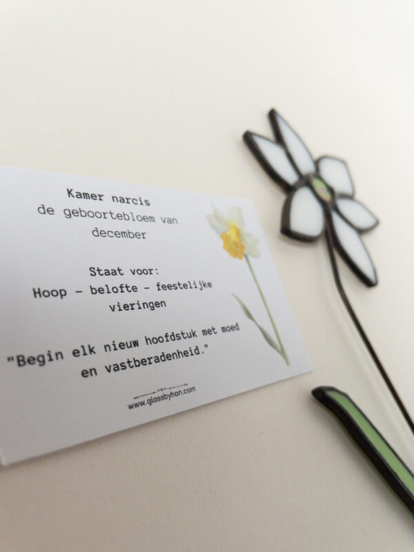 geboortebloem december narcis