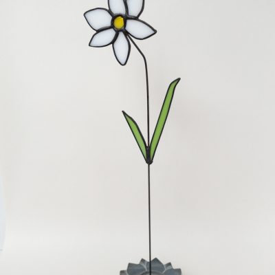 geboortebloem december narcis