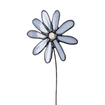 Geboortebloem september Aster