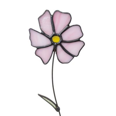 De geboortebloem voor oktober is de cosmea