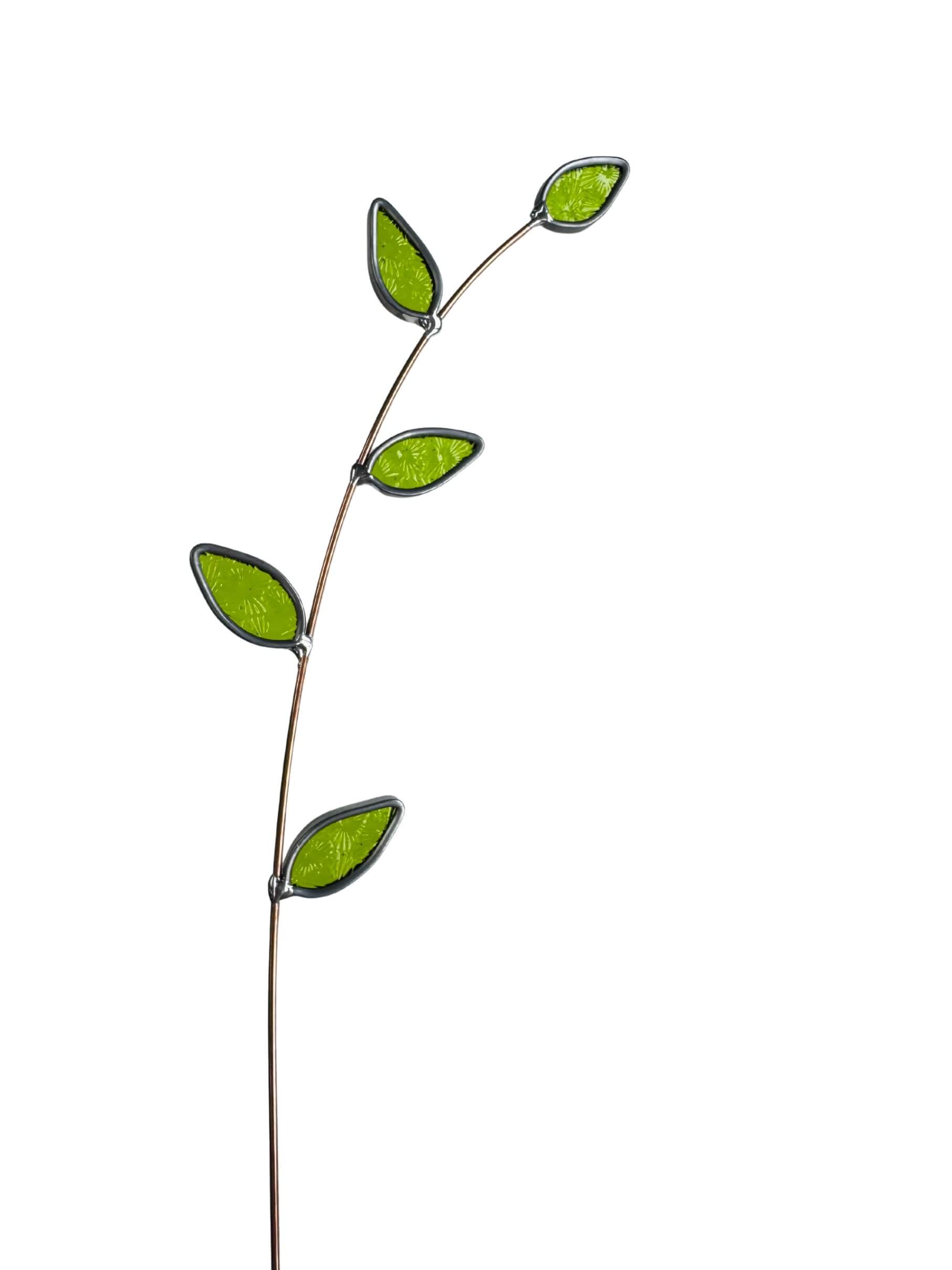 glazen tak green spring branch